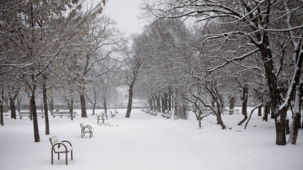 Public park covered in snow, during misty morning, without people