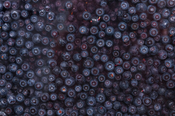 Top view of blueberries floating in water