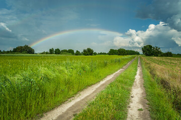 Fototapeta na wymiar Country road in the fields and rainbow in the sky, Nowiny, Poland