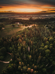 forest and sunset