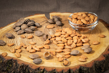 apricot kernel on a wooden board