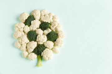Pieces raw of broccoli and cauliflower in the form of a tree flat lay on a blue concrete background...