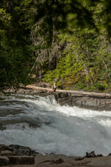 Man Sits on Fallen Log Over McDonald Creek