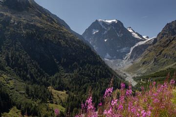 Randonn&eacute;e dans la vall&eacute;e d'Arolla en Suisse