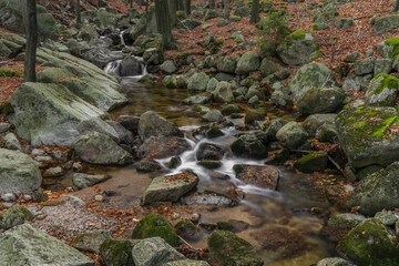 Naklejka na ściany i meble Velky Cerny Stolpich creek in autumn fresh morning in Jizerske mountains