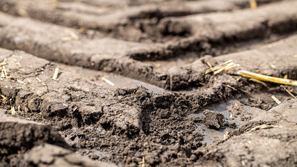 Texture soil. Trace from tractor wheel on ground. Agriculture background.