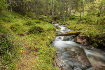 A mountain stream flows in the misty forest