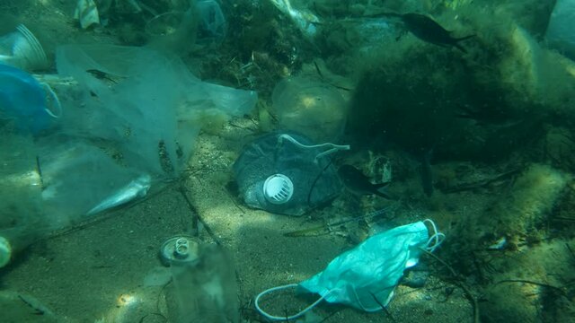 Dead Greater weever fish (Trachinus draco) hitting trapped in plastic bag lies inside plastic bag on the seabed among the medical face mask, plastic and other garbage. Plastic pollution of Ocean.  
