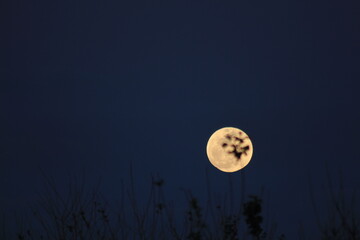 moon in the night
