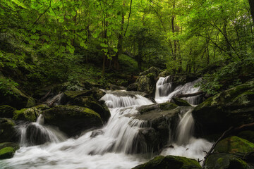 waterfall in the woods