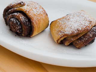Cocoa Snails Closeup