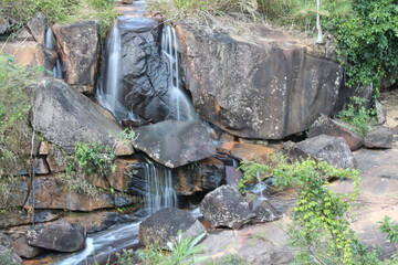 stone wall in the forest