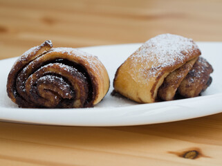 Cocoa Snails Closeup