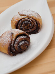 Cocoa Snails Closeup