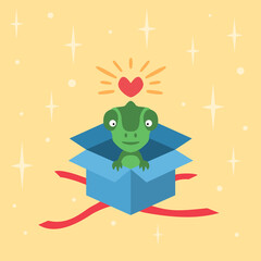 green lizard in blue cardboard box
