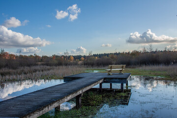 Fototapeta premium pond on the heather in Kalmthout with pier and wooden bench in autumn on the border between the Netherlands and Belgium