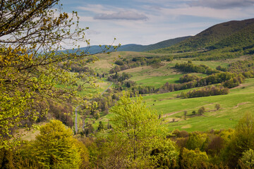 Fototapeta na wymiar spring hills mountains fields forest bloom fresh green