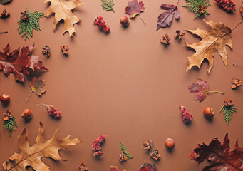 Frame made of autumn leaves on color background