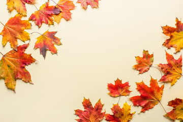 Naklejka na ściany i meble Bright autumn leaves on color background