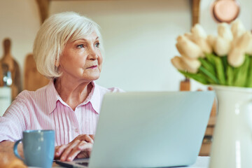 Stylish gray haired lady using computer at home