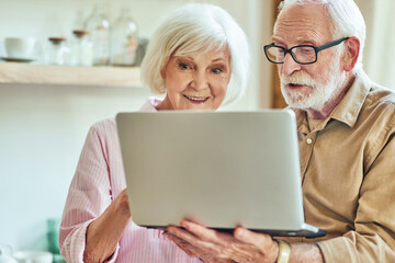Senior man and woman using laptop together