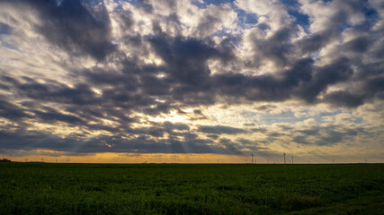Fototapeta na wymiar Grüne Wiese mit Windrädern vor dramatischem Himmel