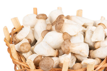 Eringi mushrooms in basket