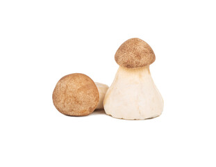 Two eringi mushrooms