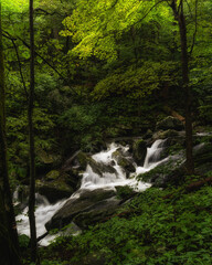 waterfall in the forest