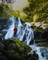 waterfall in the forest