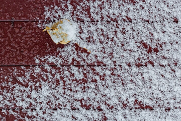 Tree leaf on snowy maroon floor of patio or terrace, natural background top view with copy space,...