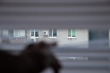 finger on the blinds on the window of the house, look out the window through the blinds - obrazy, fototapety, plakaty