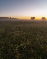 sunrise in the mountains