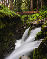 sol duc falls waterfall in the forest in Olympic national park