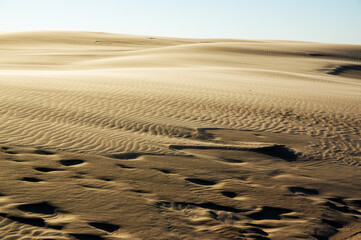 Tekstura szablon krajobraz pustynia i ruchome wydmy	
 - obrazy, fototapety, plakaty