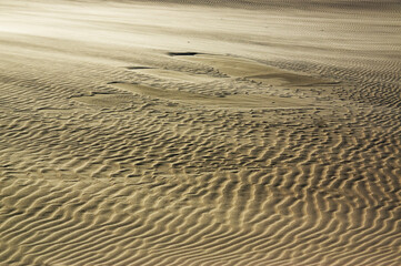 Tekstura szablon krajobraz pustynia i ruchome wydmy  - obrazy, fototapety, plakaty