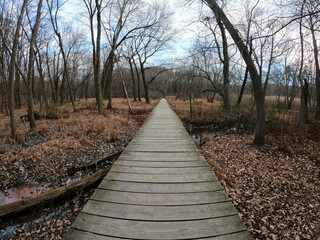 Obraz premium Wide angle view of a wood covered path in a forest