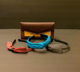 cartera y Diademas para el cabello 