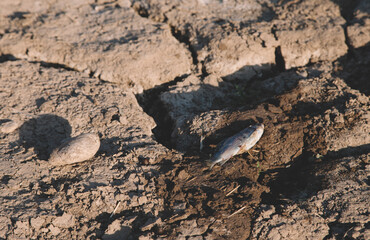 cracked earth in the ground