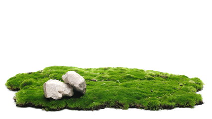 Green moss and rocks isolated on white background and texture