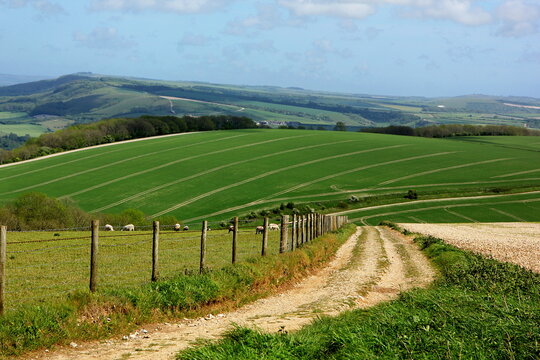 South Downs National Park