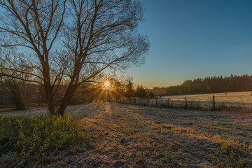 Trees and path with sunrise near Rozmberk nad Vltavou village