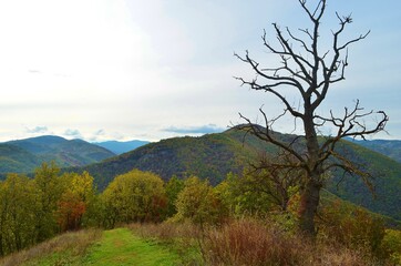 autumn in the mountains