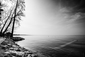 lake landscape in black and white