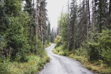 Fototapeta na wymiar Quiet road through Brooks in Katmai, Alaska