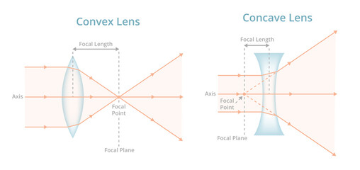 Vector scientific illustration. Convex or converging lens, concave or diverging lens, light rays passing through lens. Physics, optics, photography. Positive, negative labeled lens isolated on white.