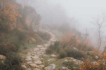 Rural road shrouded in mist near Montanchez. Spain.