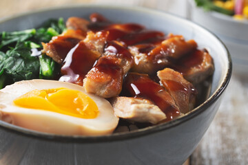 A closeup view of a teriyaki chicken rice bowl.