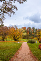Autumn trees alley with colorful leaves in the park