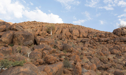 Fototapeta na wymiar Panoramic view of Twyfelfontein landscape